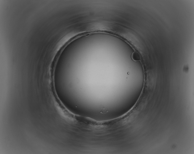 X0000093571031200710151123