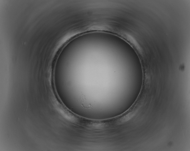 X0000093571035200710151123
