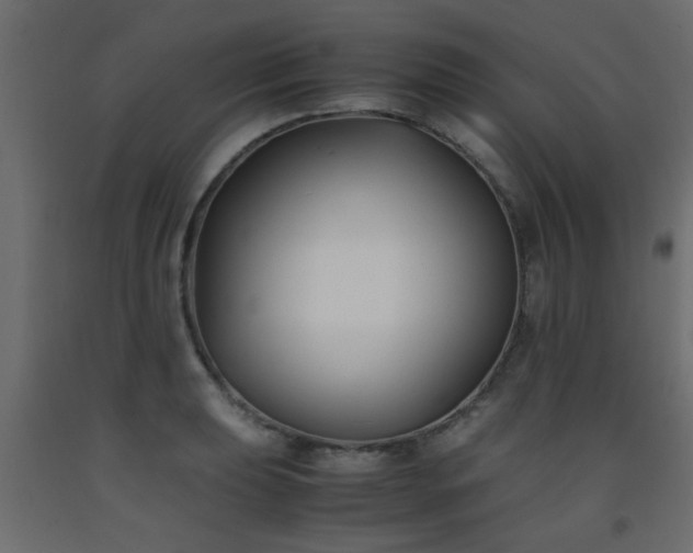 X0000093571039200710151123