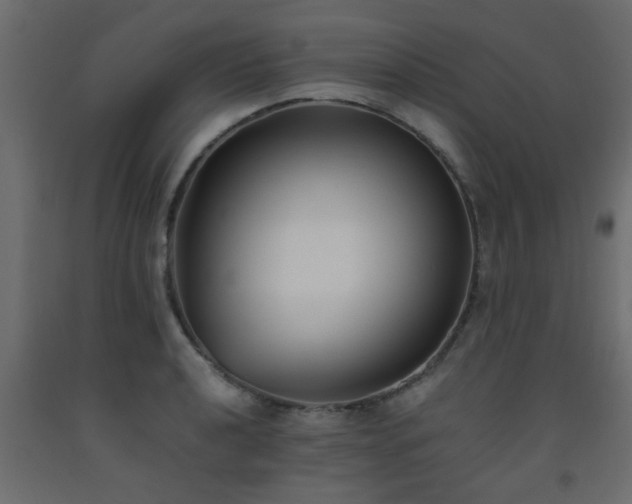 X0000093571040200710151123