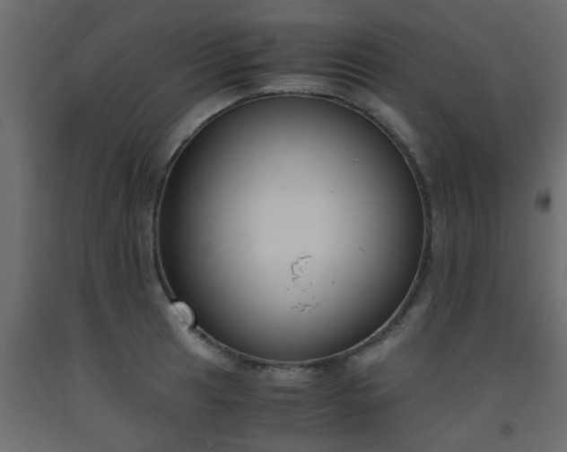 X0000093571041200710151123