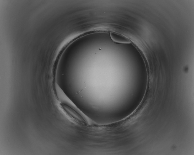 X0000093571045200710151123