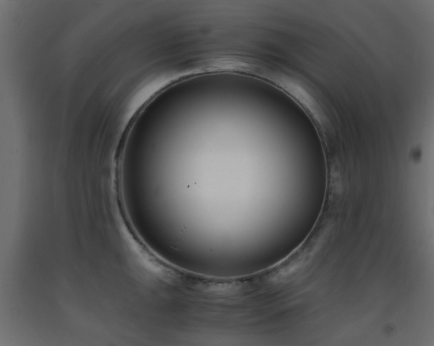 X0000093571047200710151123