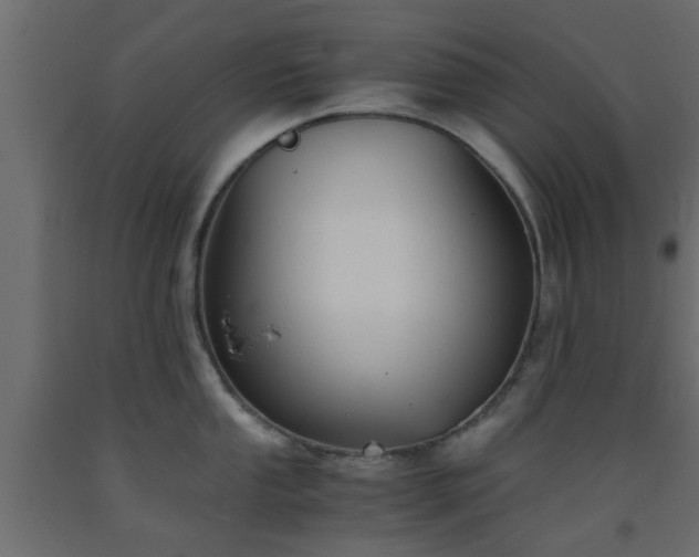 X0000093571053200710151123