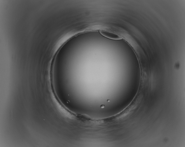 X0000093571055200710151123