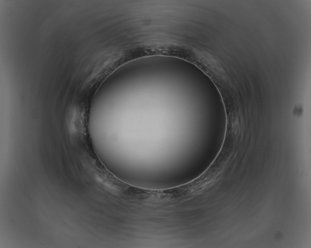 X0000093571060200710151123