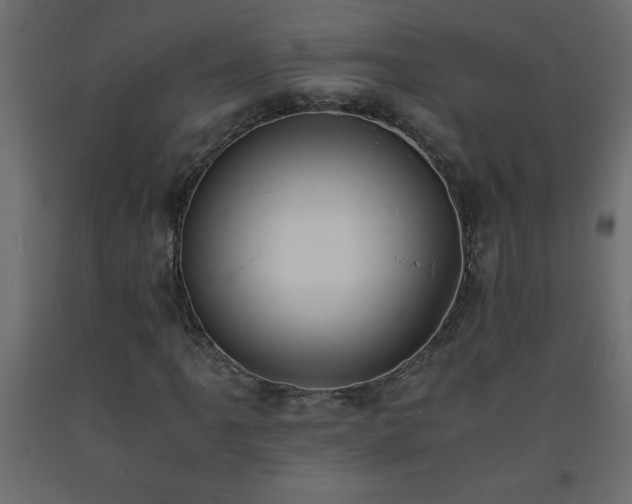 X0000093571061200710151123
