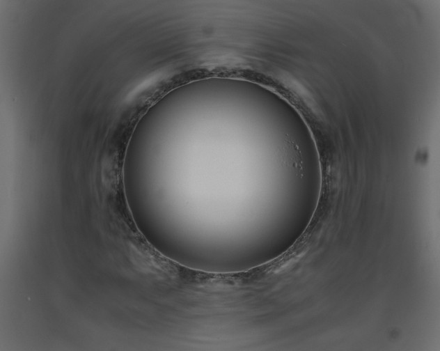 X0000093571063200710151123
