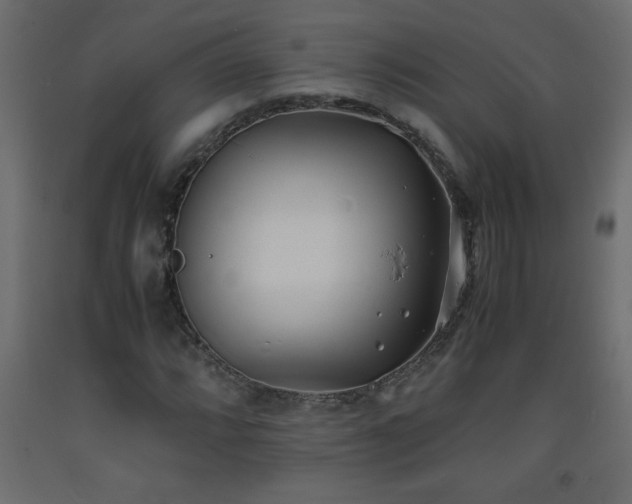 X0000093571064200710151123
