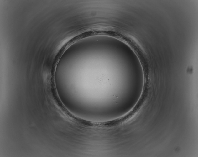 X0000093571065200710151123