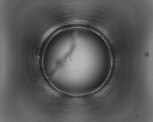 X0000093571066200710151123