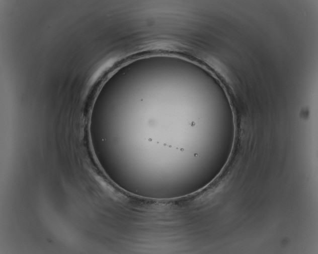 X0000093571067200710151123