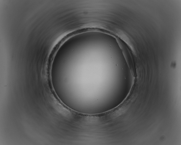 X0000093571068200710151123