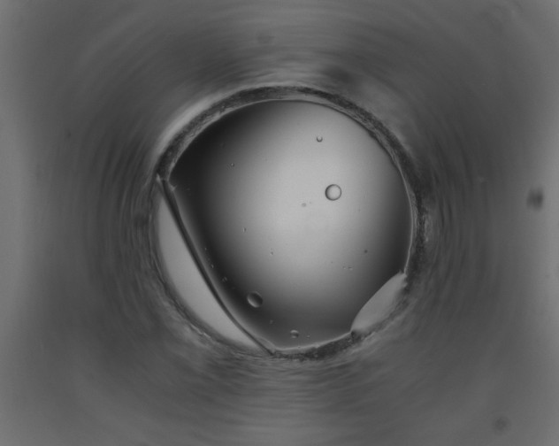 X0000093571069200710151123