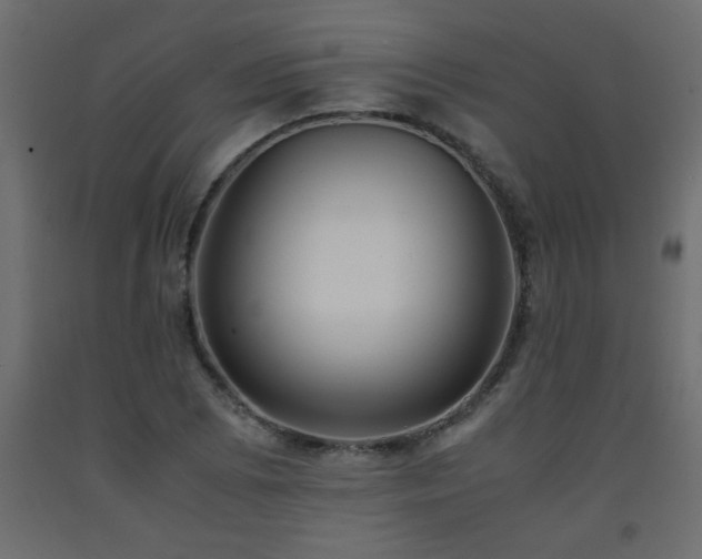 X0000093571073200710151123