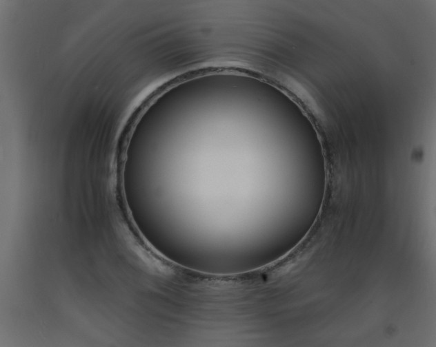 X0000093571076200710151122