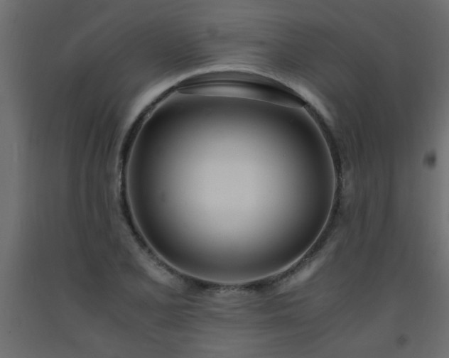 X0000093571077200710151122