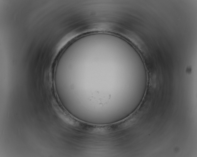 X0000093571078200710151122
