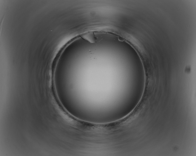 X0000093571079200710151122