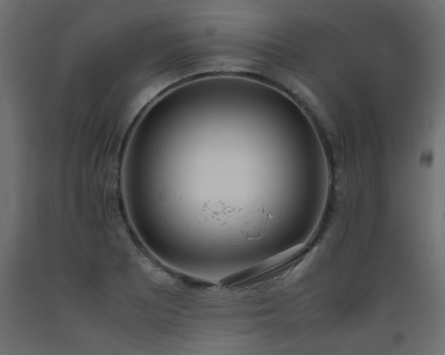 X0000093571081200710151122