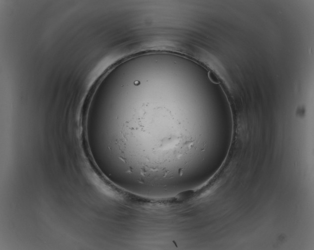 X0000093571082200710151122