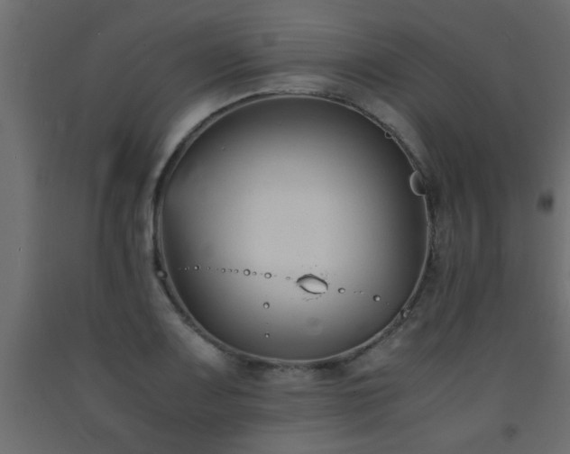 X0000093571083200710151122