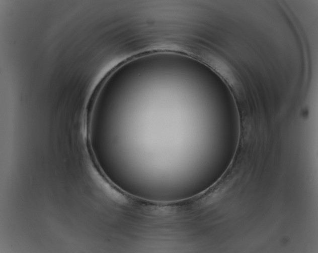 X0000093571084200710151122