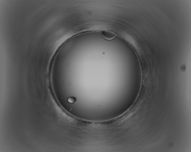 X0000093571087200710151122