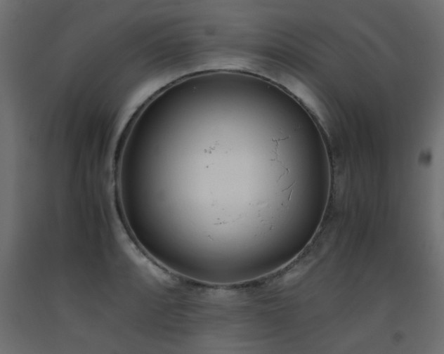 X0000093571088200710151122