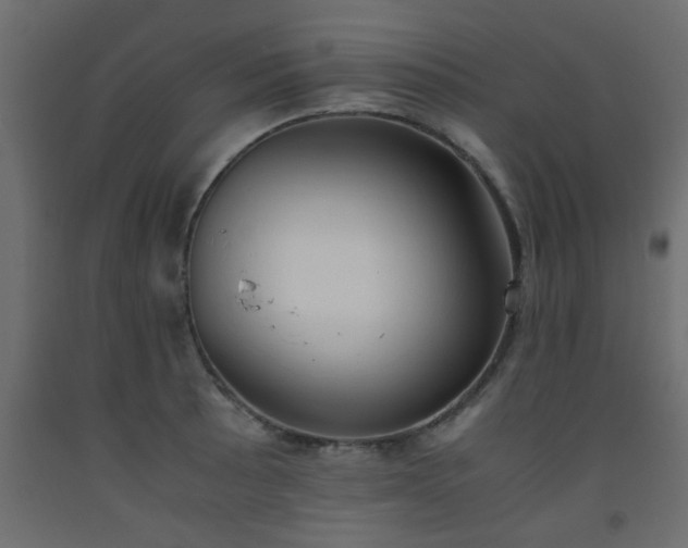 X0000093571089200710151122