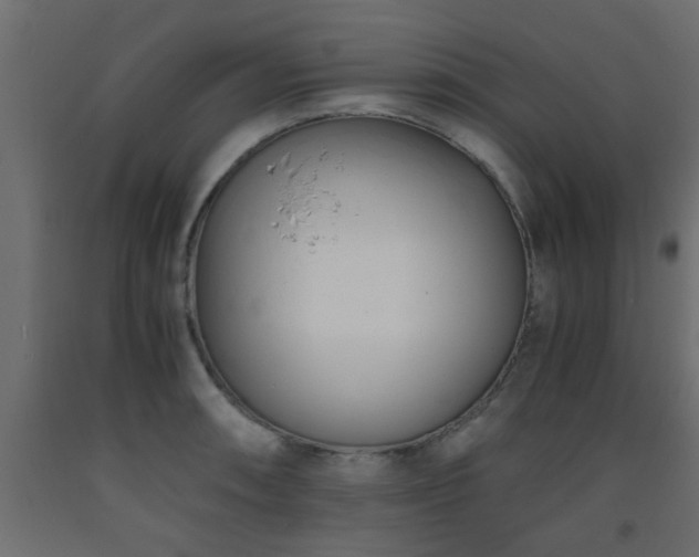 X0000093571090200710151122