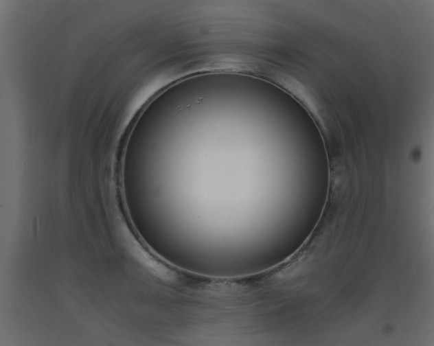 X0000093571091200710151122
