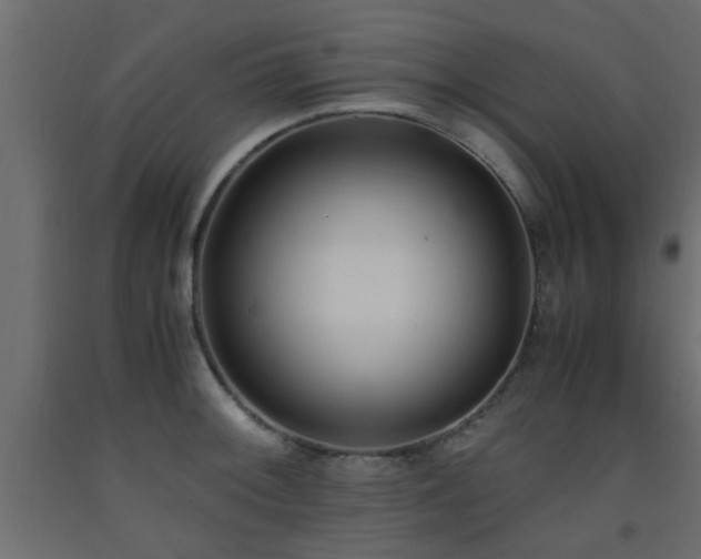 X0000093571092200710151122