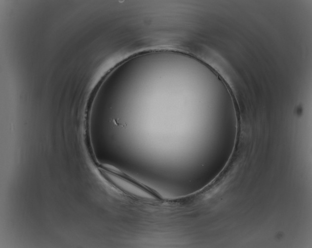 X0000093571093200710151122