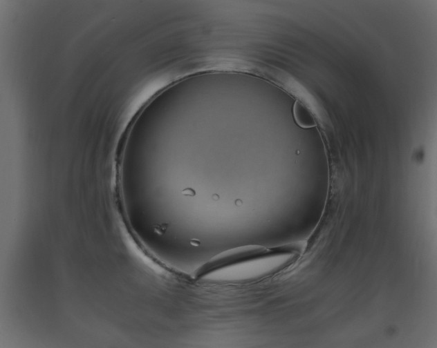 X0000093571095200710151122