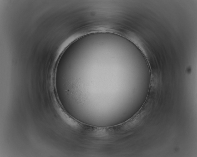X0000093571098200710151122