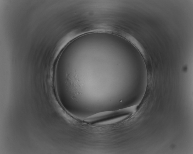 X0000093571099200710151122