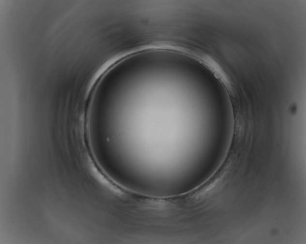 X0000093571100200710151122
