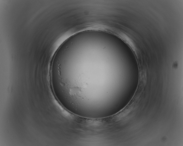 X0000093571103200710151122