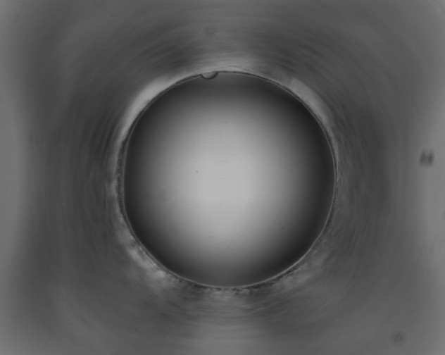 X0000093571104200710151122