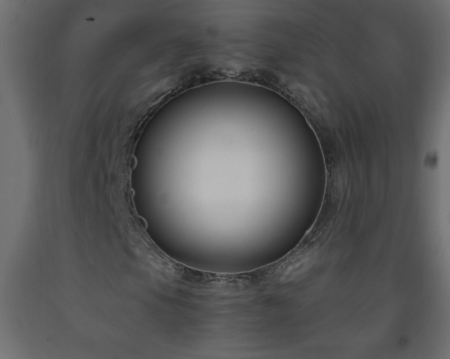 X0000093571105200710151122
