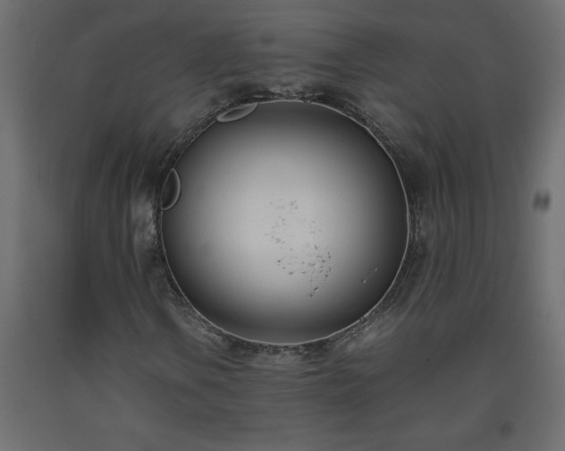 X0000093571106200710151122
