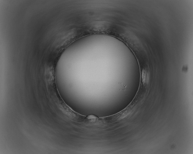 X0000093571107200710151122