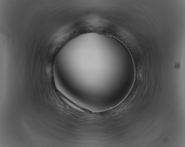 X0000093571108200710151122
