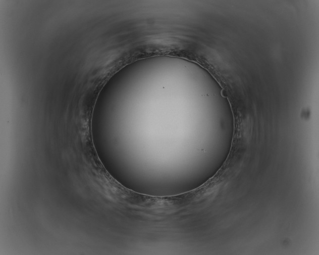X0000093571109200710151122