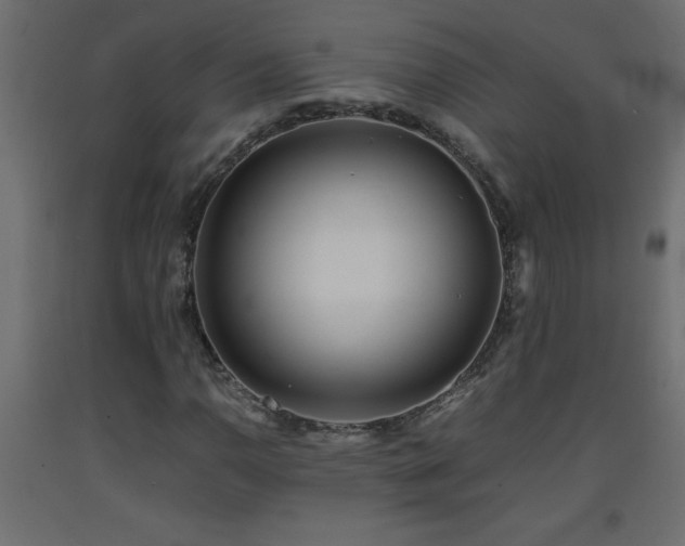 X0000093571110200710151122