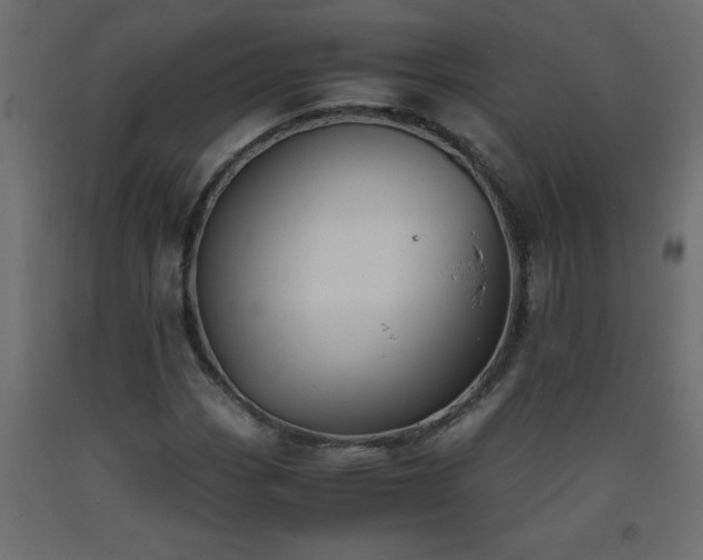 X0000093571113200710151122