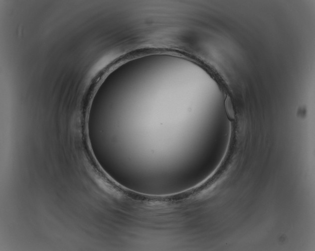 X0000093571114200710151122