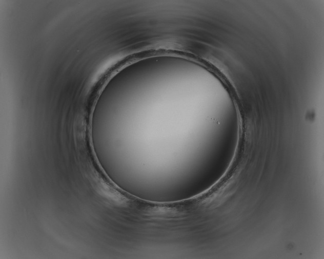 X0000093571115200710151122