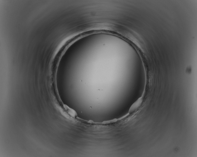 X0000093571116200710151122